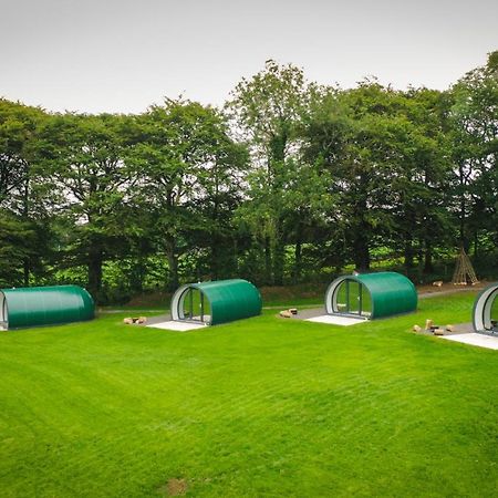 בלימאני Further Space At Thornfield Luxury Glamping Pods, The Dark Hedges, Ballycastle מראה חיצוני תמונה