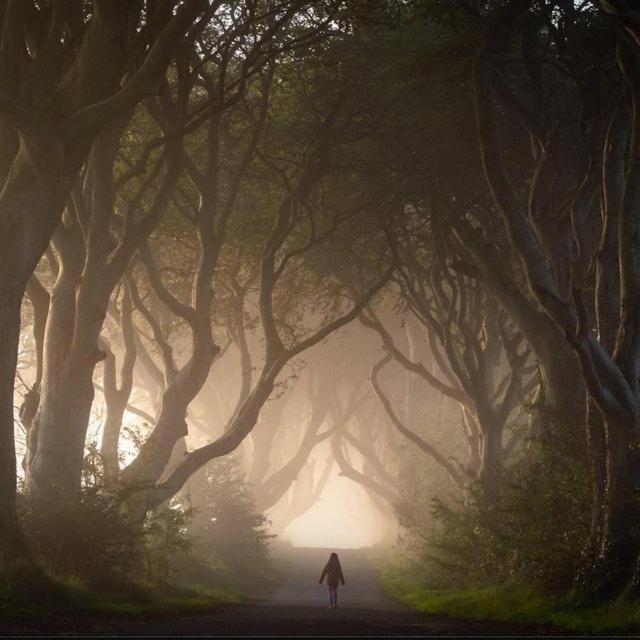 בלימאני Further Space At Thornfield Luxury Glamping Pods, The Dark Hedges, Ballycastle מראה חיצוני תמונה