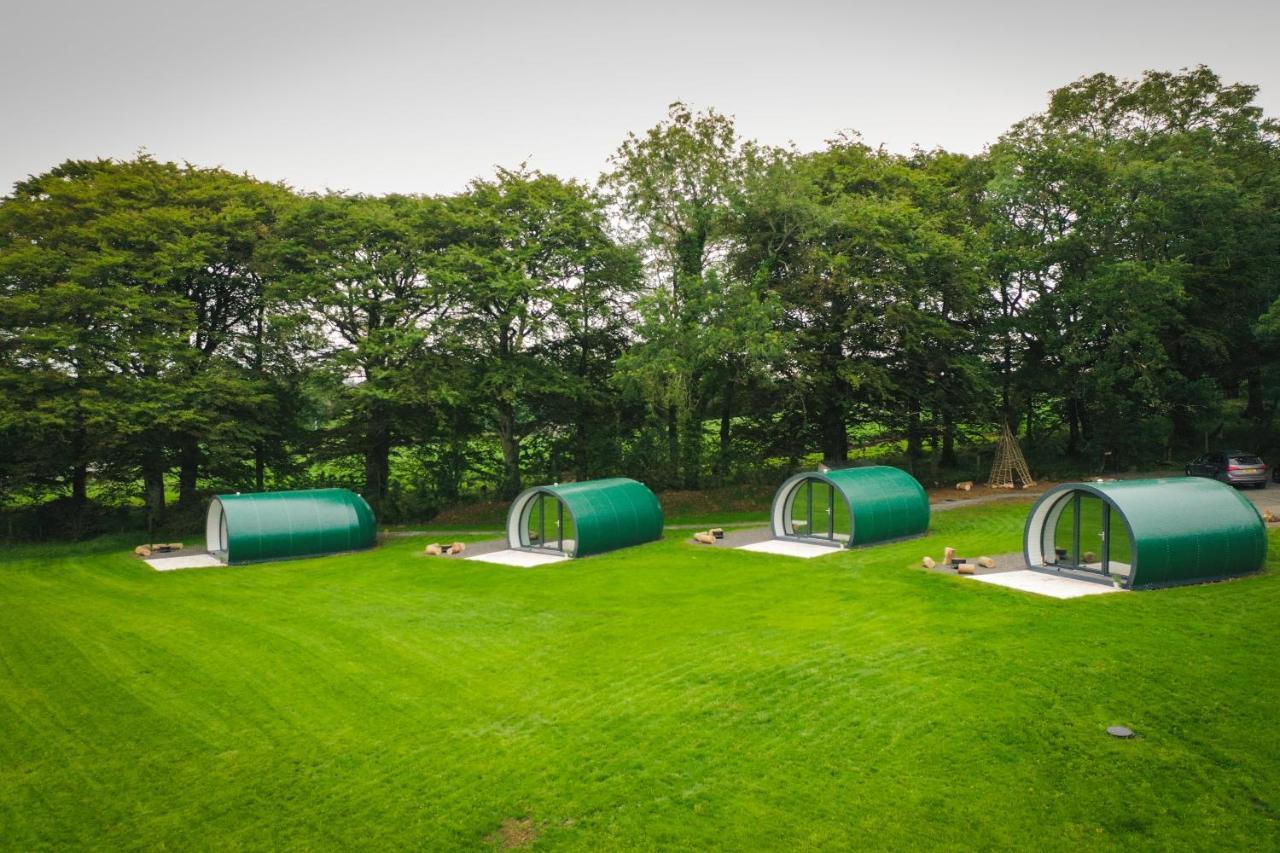 בלימאני Further Space At Thornfield Luxury Glamping Pods, The Dark Hedges, Ballycastle מראה חיצוני תמונה