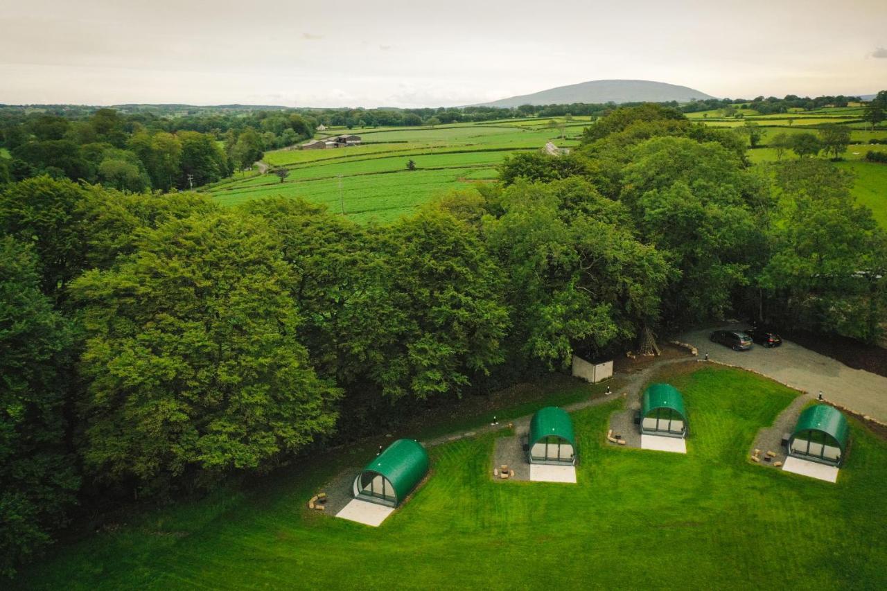 בלימאני Further Space At Thornfield Luxury Glamping Pods, The Dark Hedges, Ballycastle מראה חיצוני תמונה