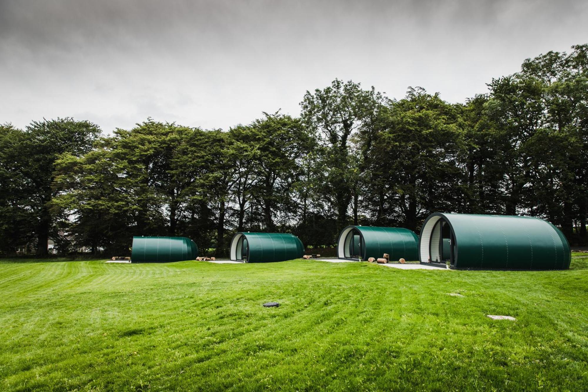 בלימאני Further Space At Thornfield Luxury Glamping Pods, The Dark Hedges, Ballycastle מראה חיצוני תמונה